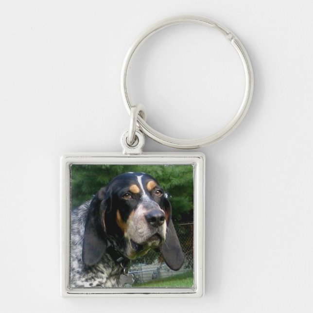 Llavero Bluetick Coonhound.png (Frente)