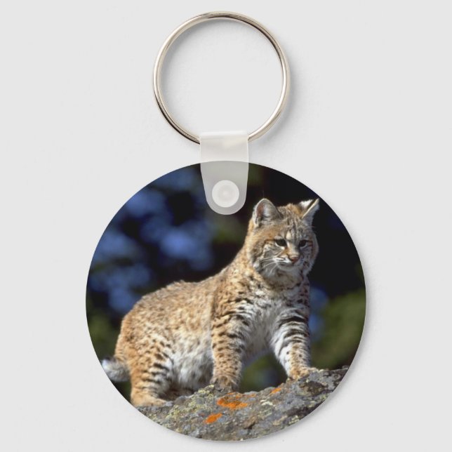Llavero Bobcat (Anverso)