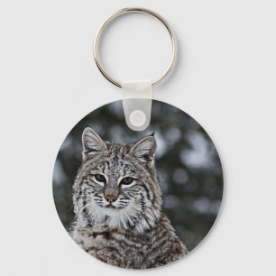Llavero Bobcat en la nieve