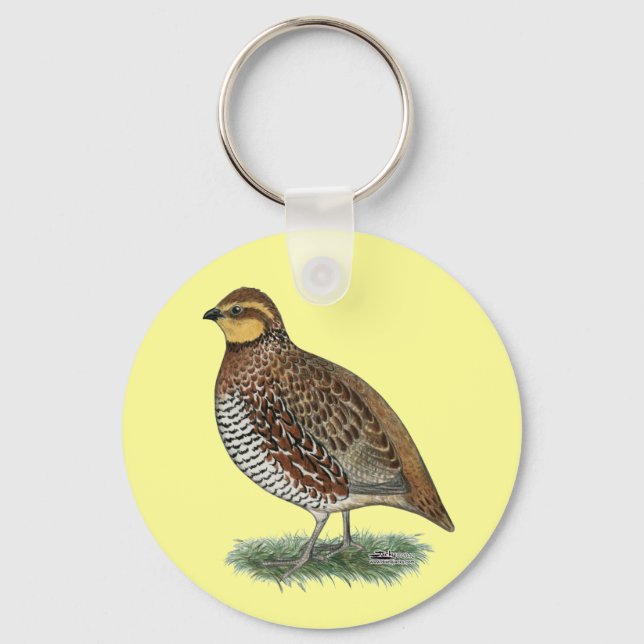 Llavero Bobwhite Quail Hen (Anverso)