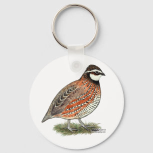 Llavero Bobwhite Quail Rooster