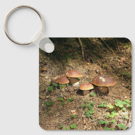 Llavero boletus