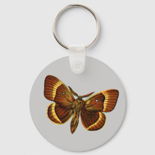 Llavero Bombyx quercus macho