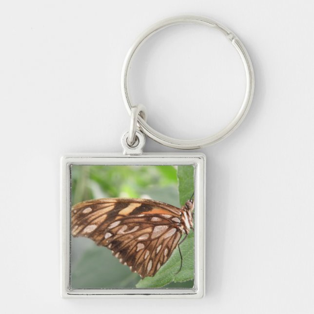 Llavero Bonito Brown Butfly Keychain (Frente)