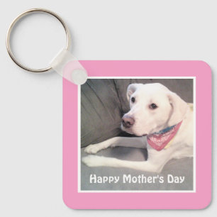 Llavero Bonito Labrador Blanco Recuperador Mezcla Perro Ro