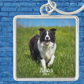 Llavero Borde de foto de mascota Collie personalizable