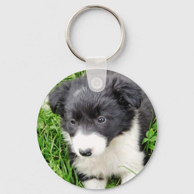LLAVERO BORDER COLLIE (Anverso)