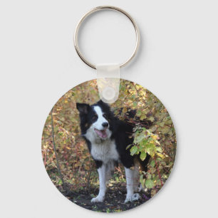 Llavero border collie