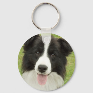 Llavero Border collie
