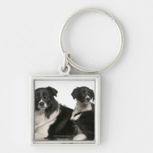 Llavero Border collie y perrito de la madre