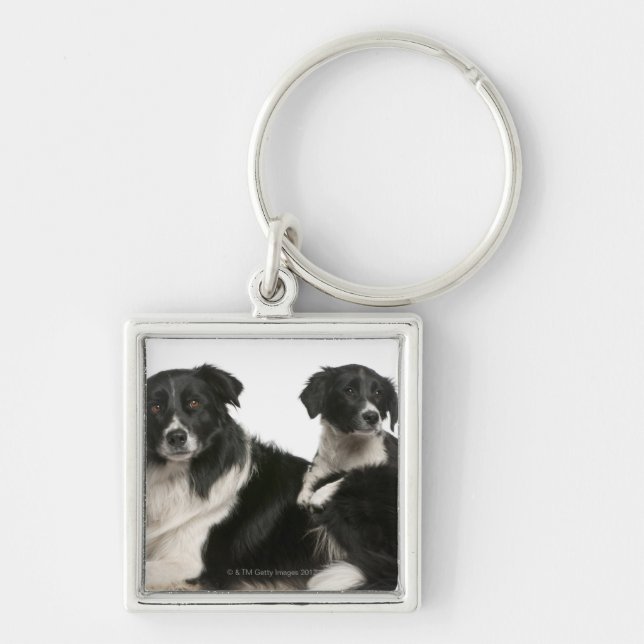Llavero Border collie y perrito de la madre (Frente)
