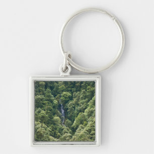 Llavero Bosque del Himalaya en el valle de Mangdue, Bután