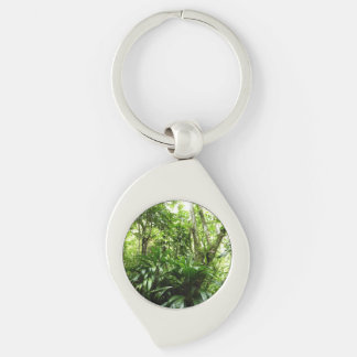 Llavero Bosque lluvioso dominicano I Naturaleza tropical v