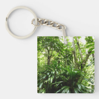 Llavero Bosque lluvioso dominicano I Naturaleza tropical v