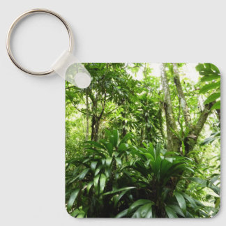 Llavero Bosque lluvioso dominicano I Naturaleza tropical v