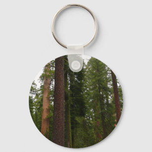 Llavero Bosque Mariposa en el Parque Nacional Yosemite