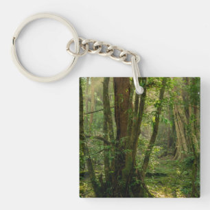 Llavero Bosque Místico Namal Uyana - Antigua Ironwood