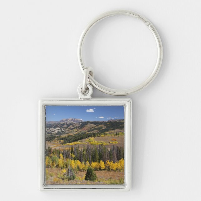 Llavero Bosque nacional Bridger-Teton (Frente)