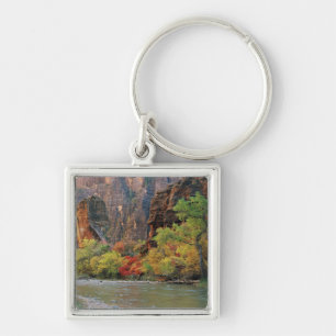 Llavero Bosque otoñal a lo largo del río Virgin cerca de