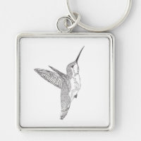Bosquejo de cernido del colibrí