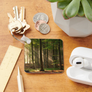 Llavero Bosques Bosque otoñal