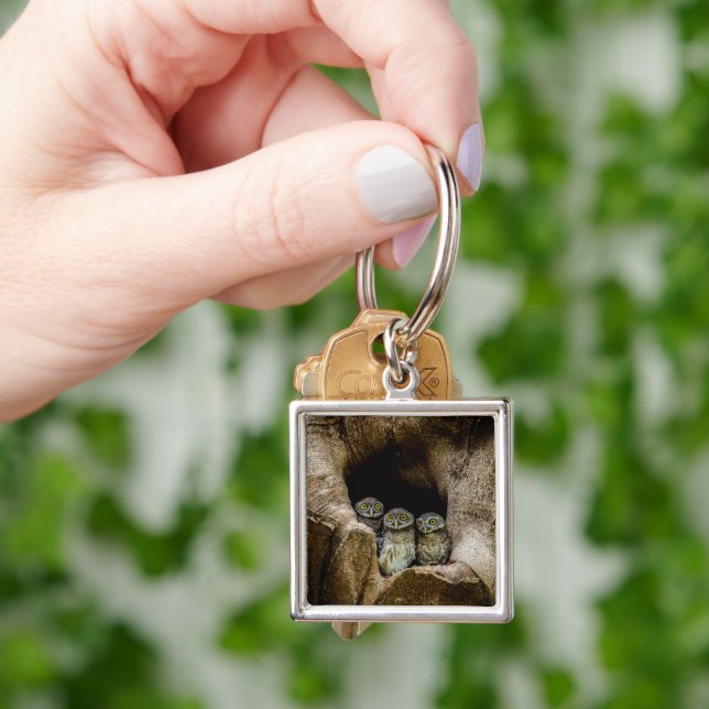 Llavero Bosques | Tres lechuzas con aspecto (Mano)