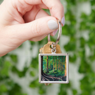 Llavero Bosques   Vegetación y bosques