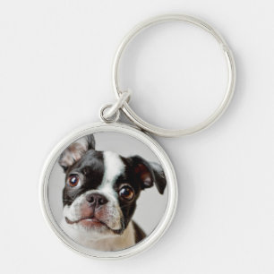 Llavero Boston Terrier