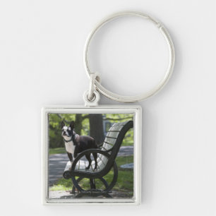 Llavero Boston Terrier