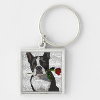 Boston Terrier con Rosa en boca