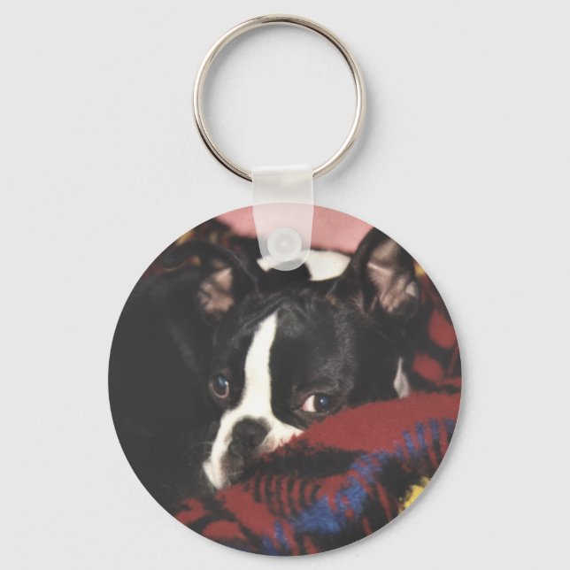 Llavero Boston Terrier: Peek-a-Boo (Anverso)