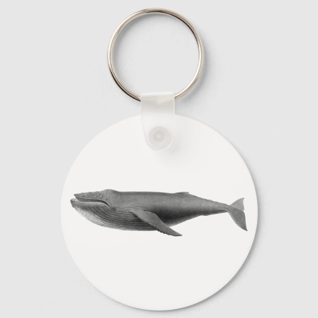 LLAVERO BOTÓN NÁUTICO DE SELECCIÓN DE BALLENAS KEYCHAIN (Anverso)
