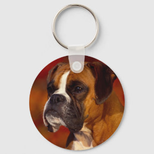 Llavero Boxer dog