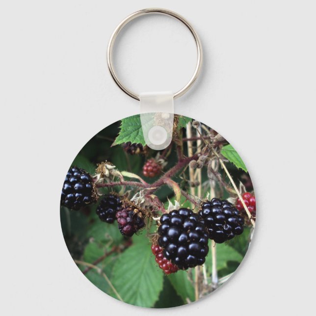 Llavero Brambles Keychain (Anverso)