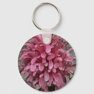 Llavero brasileño de la flor del penacho