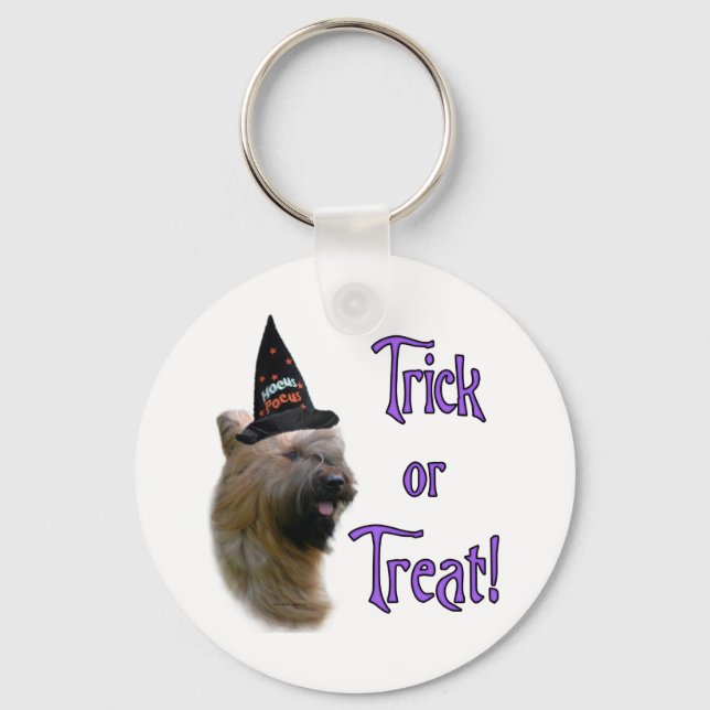Llavero Briard Trick (Anverso)