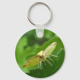 Llavero Brimstone Moth Keychain