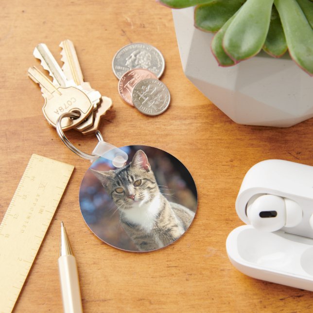 Llavero Brin (Escritorio )