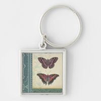 Brocade decorativo de mariposa por Vision Studio