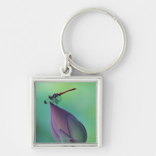 Llavero Brote de flor de Lotus y una libélula