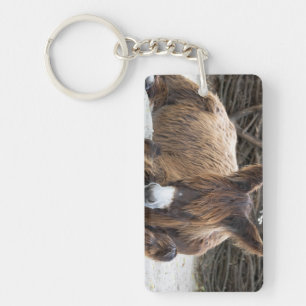 Llavero Brown Poitou Donkey