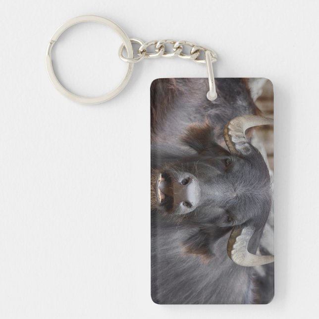 Llavero Bubalus bubalis (Frente)