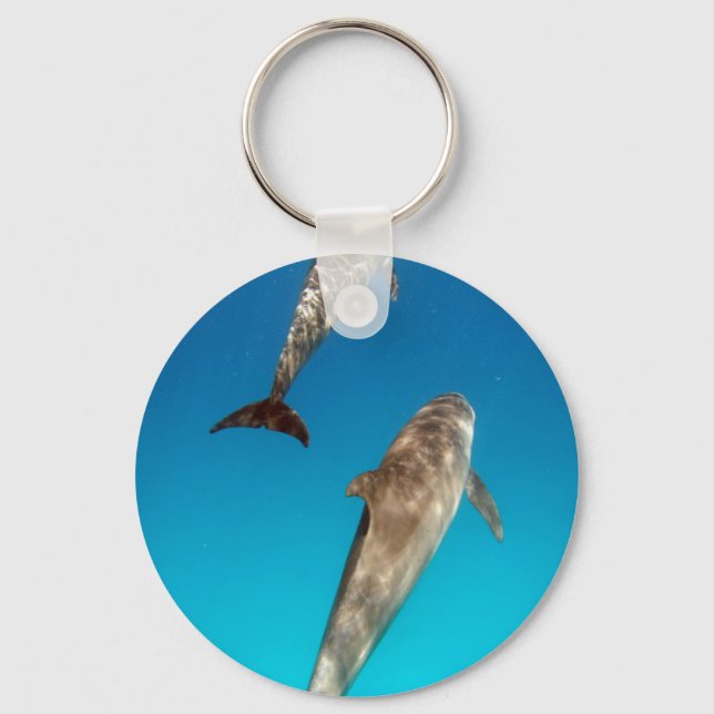 Llavero buceo con delfines (Anverso)