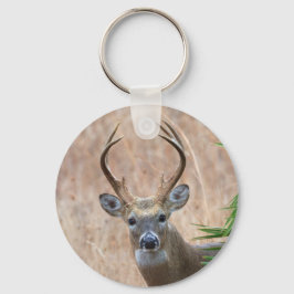 Llavero Buck de cola blanca