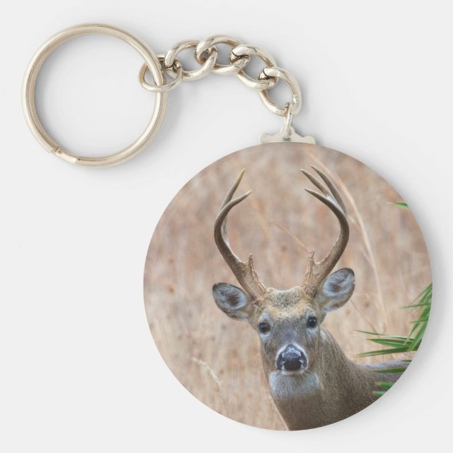 Llavero Buck de cola blanca (Frente)