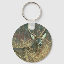 Llavero Buck in the Grass