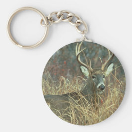 Llavero Buck in the Grass
