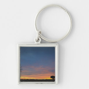 Llavero Búfalo en la puesta del sol en parque nacional de