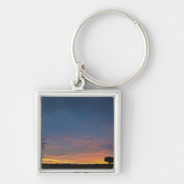 Llavero Búfalo en la puesta del sol en parque nacional de (Frente)