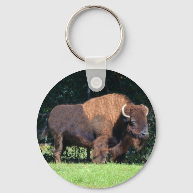 Llavero Buffalo (Bison) Kansas, Oklahoma, Wyoming (Anverso)
